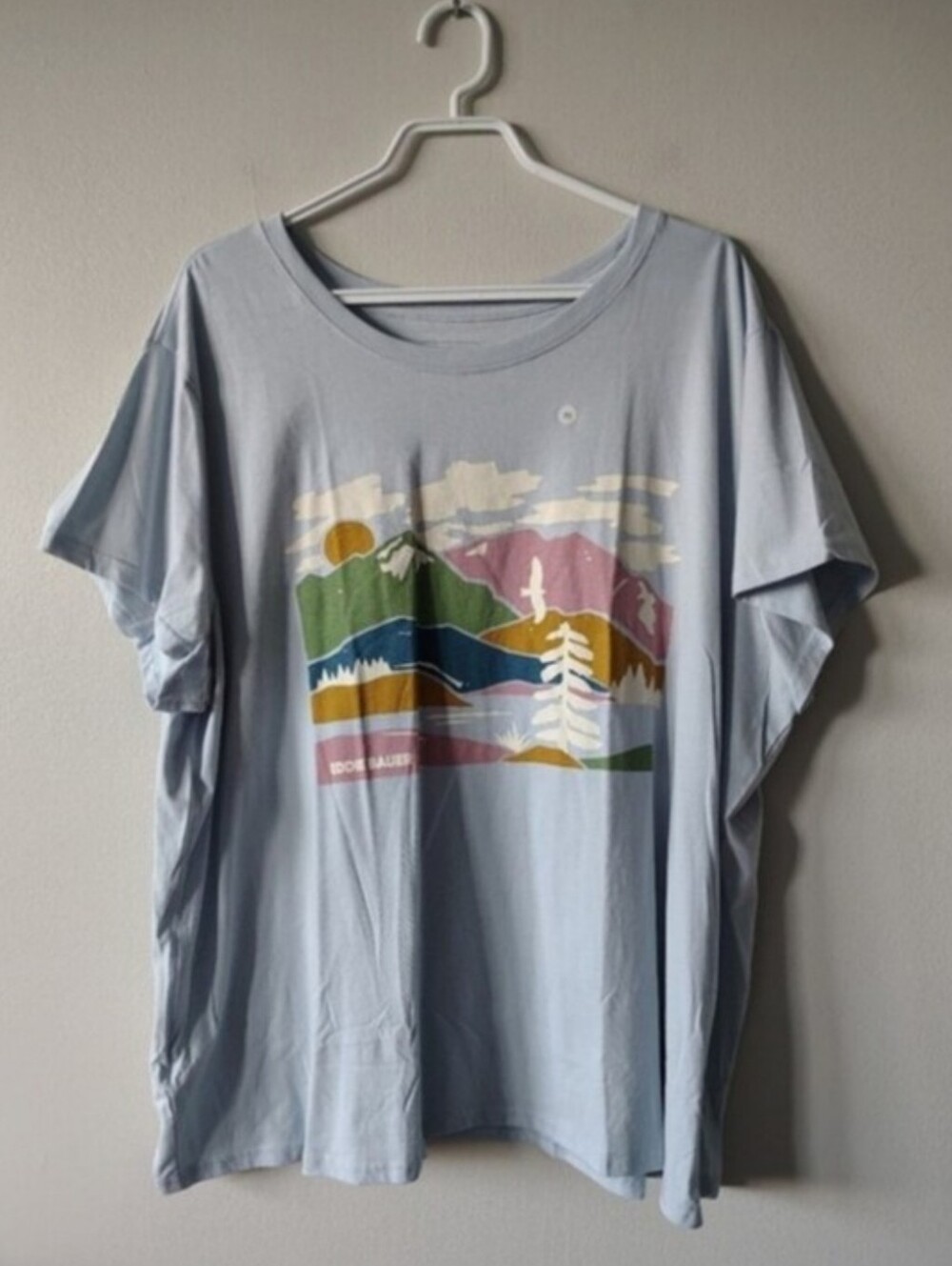 ☀️ SUMMER SALE! NWOT Eddie Bauer Light Blue Graphic Tee